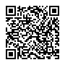 Shaukeen Mundiya Song - QR Code