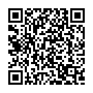 Rubayee - Intro - Chalo Pee Lein Ke Yar Song - QR Code