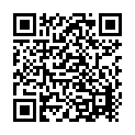 Nalnudi - Busy Ellaru Busy (From "Krazy Star") Song - QR Code