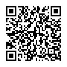 Thodigane Kottha Chiguru Song - QR Code