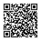 Na Janey Kya Hua Toota Hua Hey Song - QR Code