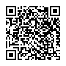 Thodigane Kottha Chiguru Song - QR Code