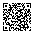 Din Tere Gaye Tap Ni Song - QR Code