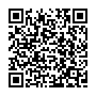 Thodigane Kottha Chiguru Song - QR Code