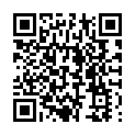 Shiddategham Hai Beqarari Hai Song - QR Code