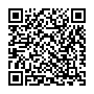 Aar De Rahe Na Assi Par De Song - QR Code