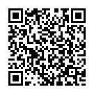 Thodigane Kottha Chiguru Song - QR Code