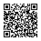 Thodigane Kottha Chiguru Song - QR Code