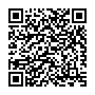 Surfing the Bangalore Skies Song - QR Code