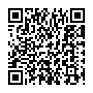 Make Some Noise For The Desi Boyz (Remix) Song - QR Code