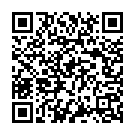 Make Some Noise For The Desi Boyz Song - QR Code