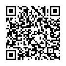 The VIP Mashup Song - QR Code