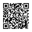 Mainu Tu Pasand Desi Mix Song - QR Code