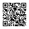 Chelmi Bazagi Song - QR Code