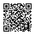 Main Hoon Don (Don) Song - QR Code