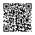 Venkatadri Cheralayya Song - QR Code