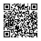 Type Of Guy Song - QR Code