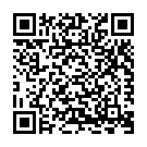 Tirupati Salasar Mehndipur Song - QR Code