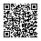 Music - Bit Song - QR Code