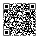 Bas Mera Mahi Sallay Alaa Song - QR Code