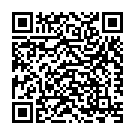 Villaali Veerane (Instrumental) Song - QR Code