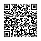 Mai Pataka Re Karungi Dhamaka Re Song - QR Code