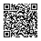 Pitugi Teri Bhain Saaliye Song - QR Code