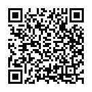 Allari Buggaku Song - QR Code