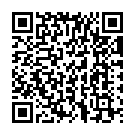 Theme of Palnadu Song - QR Code