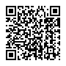 Mirza (Remix) Song - QR Code