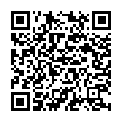 Party On My Mind - Remix (From "Race2") Song - QR Code