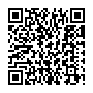 Make Some Noise For The Desi Boyz Song - QR Code