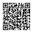 Maine Tere Liye - Instrumental Song - QR Code