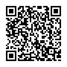 Jawani Di Haneri Jhul Pai Song - QR Code