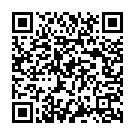 Make Some Noise For The Desi Boyz Song - QR Code