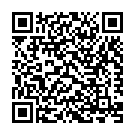 Dhokha Nahi - Remix Song - QR Code