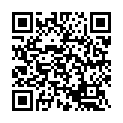 Kinnerasani Vannelarani Song - QR Code