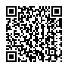 Allari Nelluri Song - QR Code