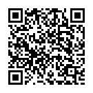 In Flight (Edit) Song - QR Code