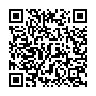 Tere Jaise Chhokre Ko Lil Jaugi Song - QR Code