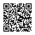 Just Fly Song - QR Code