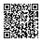 Thodigane Kottha Chiguru Song - QR Code