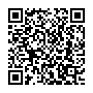 Aali Ga Aali Ekveera Song - QR Code