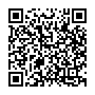 Thodigane Kottha Chiguru Song - QR Code