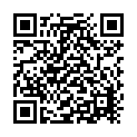 All You Ladies Song - QR Code