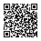 Bibi Zainab Song - QR Code