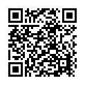 Disco Remix Song - QR Code