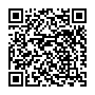 Nabi Ke Jalwon Ki Roshni Song - QR Code