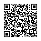 Flipando en Ibiza (Junior Legh Tech Mix) Song - QR Code