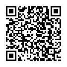 Punishment (Lady Godiva Mix) Song - QR Code